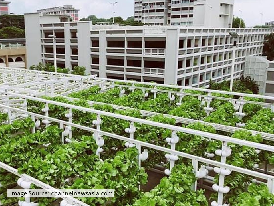 Cover image of 【Climate Innovation Stories】Singapore’s Initiative on Food Resilience (II): Edible Car Parks